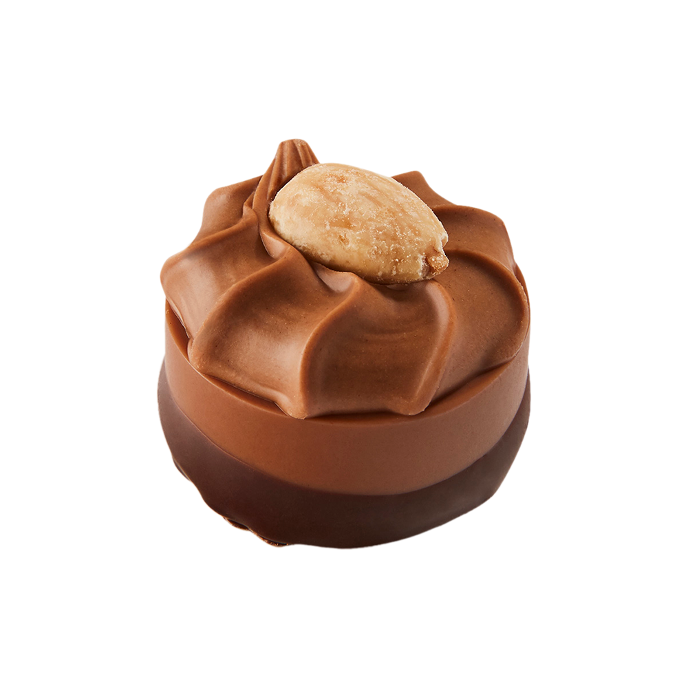 Chocolate Confection
