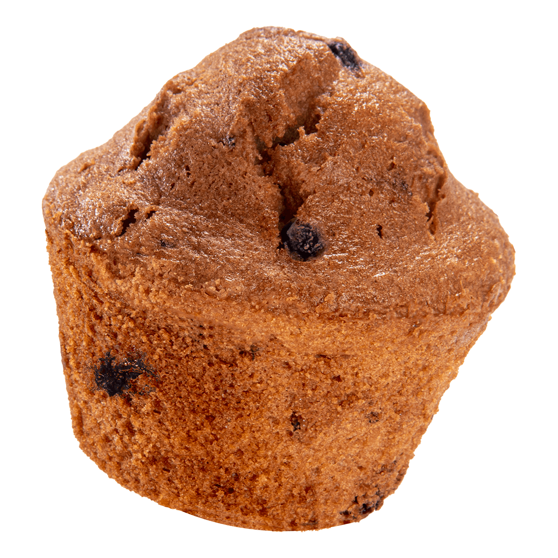 katz Gluten Free Blueberry Muffin